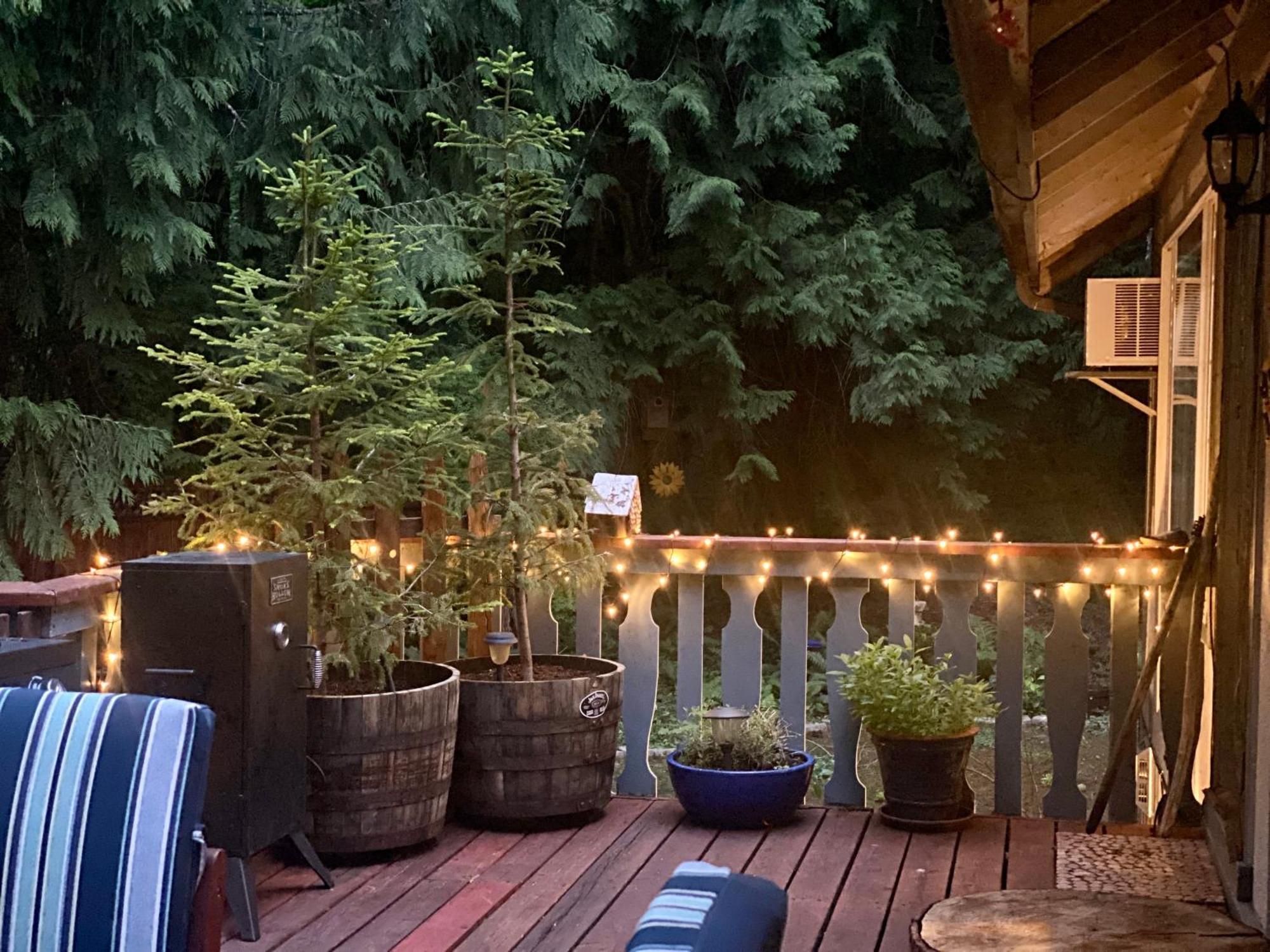 Cozy Bird House W Big Screen! Mount Hood Village Exterior foto
